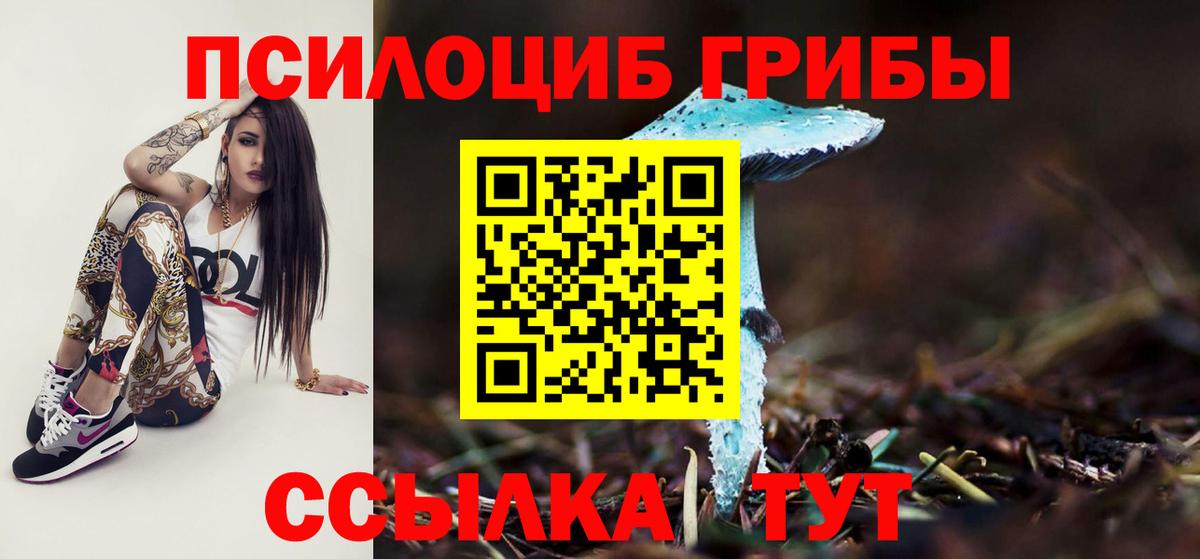 Галлюциногенные грибы MAGIC MUSHROOMS Горно-Алтайск